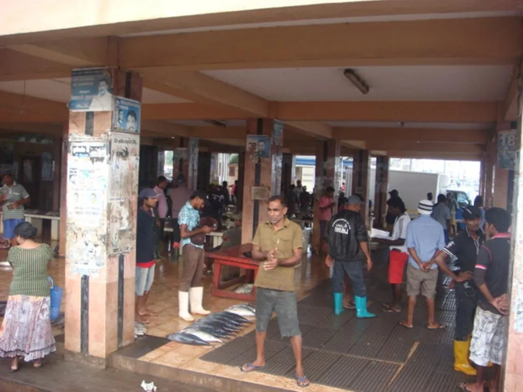 Randi Homestay In Negombo