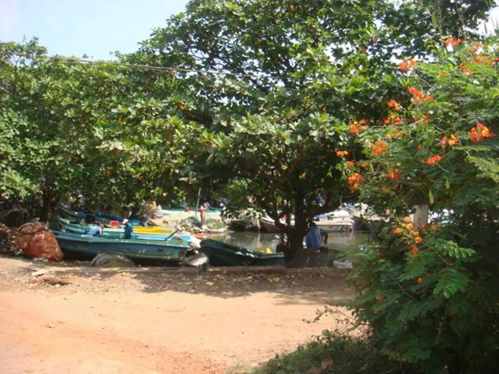 *** Oda ve Kahvaltı Randi Homestay In Negombo Sri Lanka
